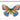 Create - a - Quill DIY Quilling Kit | Insects - Quilling Card - Create - a - Quill