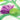 Quilled Thistle Greeting Card - Quilling Card - Greeting Card