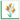 Quilled Bird of Paradise Greeting Card - Quilling Card - Greeting Card